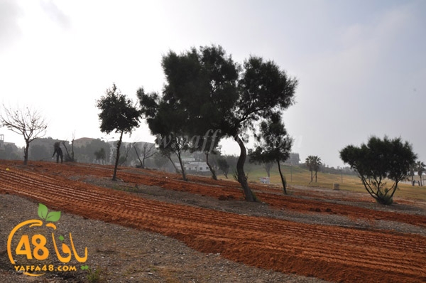 7san 3arafaj (20).JPG